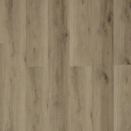 Toucan - TFL607 - Dynamic Grey