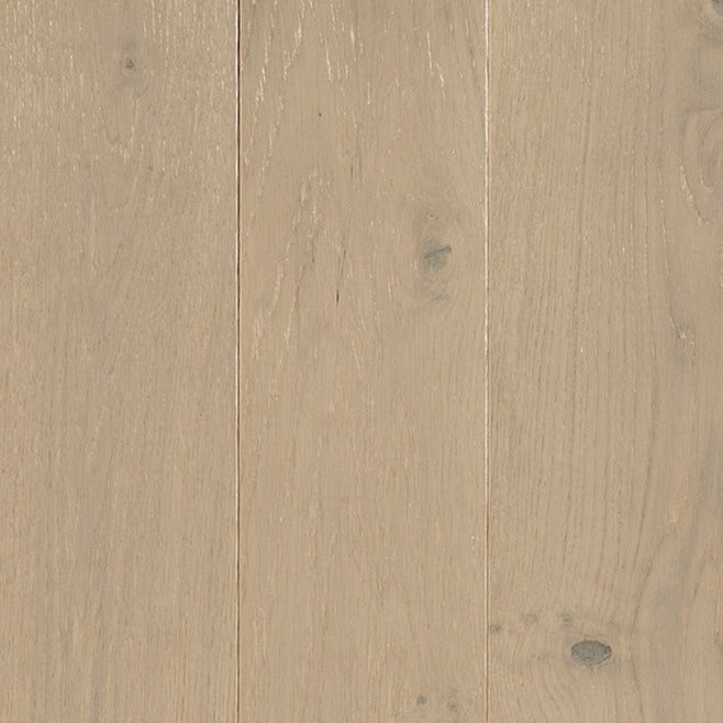 TORLYS - SuperSolid 4 Series - Porter
