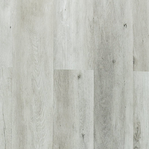 TURION - Aventis Collection - Warren