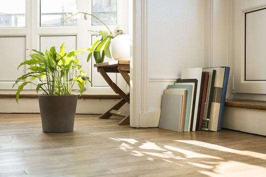 Plants That Match The Flooring Of Your Home | Word of Mouth Floors