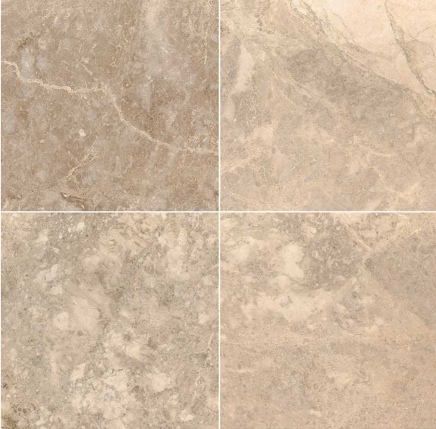 MSI - CREMA CAPPUCCINO - Tile - 12" x 12"