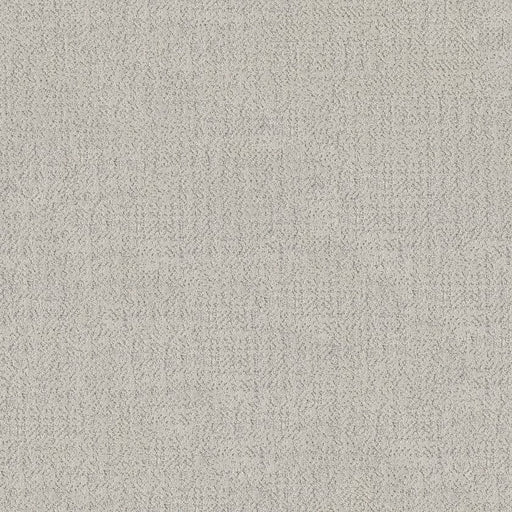 SHAW FLOORS - CARPET - TAILORED CRAFT - STERLING