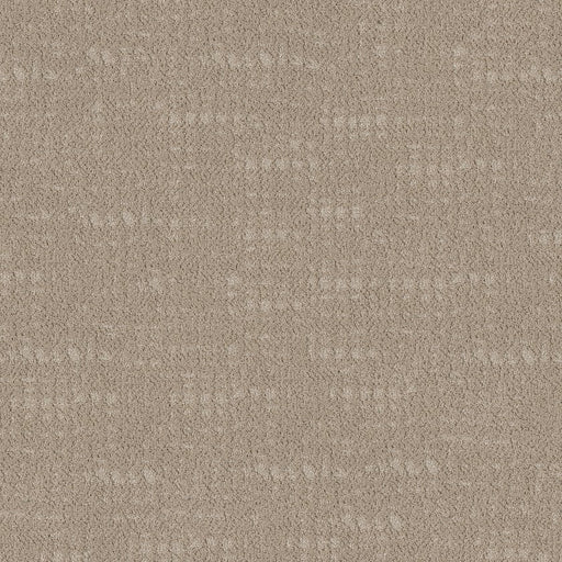 SHAW FLOORS - CARPET - TAILORED CRAFT - LINEN