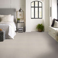 Shaw Floors - Carpet- Foundations Collection - Naturalistic - Winters Dawn