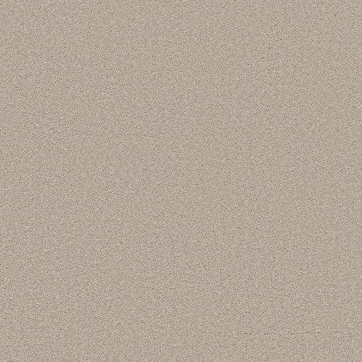 SHAW FLOORS - CARPET - WONDERLAN III - 12' - OUTER BANKS