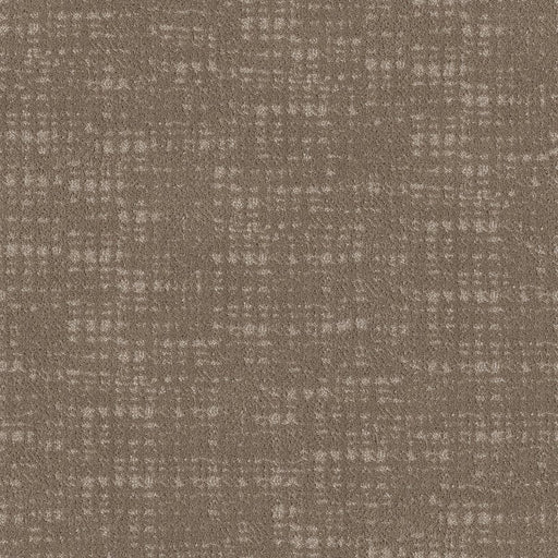 SHAW FLOORS - CARPET - TAILORED CRAFT - BESPOKE