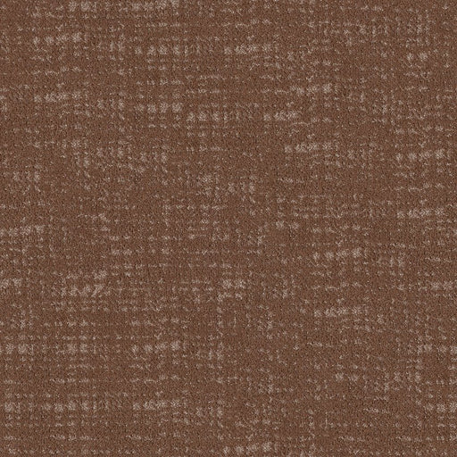 SHAW FLOORS - CARPET - TAILORED CRAFT - GARDEN PARTY