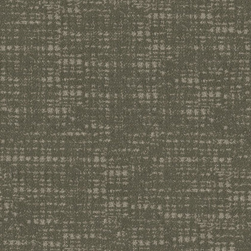 SHAW FLOORS - CARPET - TAILORED CRAFT - IVY LEAUGE
