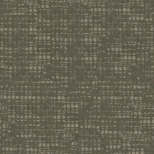 SHAW FLOORS - CARPET - TAILORED CRAFT - IVY LEAUGE