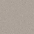 SHAW FLOORS - CARPET - WONDERLAN III - 12' - SILENCE