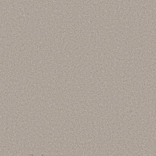 SHAW FLOORS - CARPET - WONDERLAN III - 12' - SILENCE