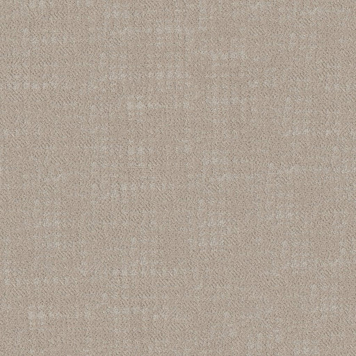 SHAW FLOORS - CARPET - TAILORED CRAFT - ABALONE