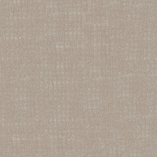 SHAW FLOORS - CARPET - TAILORED CRAFT - ABALONE