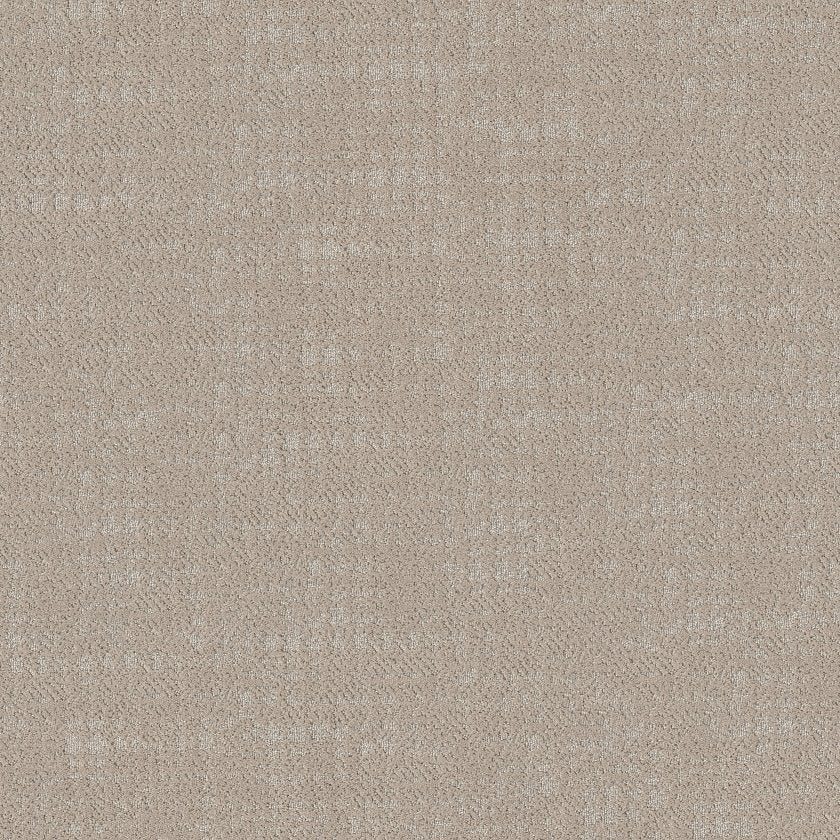 SHAW FLOORS - CARPET - TAILORED CRAFT - ABALONE