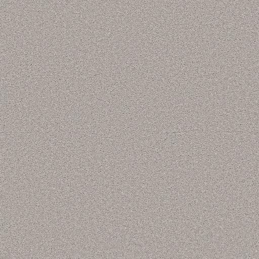 SHAW FLOORS - CARPET - WONDERLAN III - 12' - ANTIQUITY