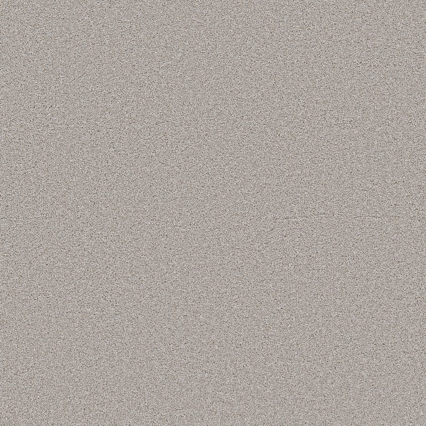 SHAW FLOORS - CARPET - WONDERLAN III - 12' - ANTIQUITY