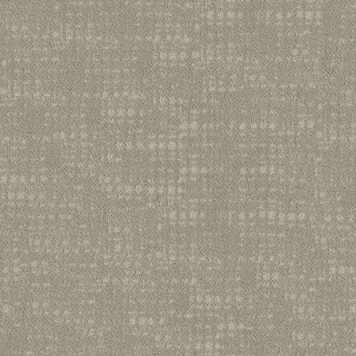 SHAW FLOORS - CARPET - TAILORED CRAFT - STONEWASH