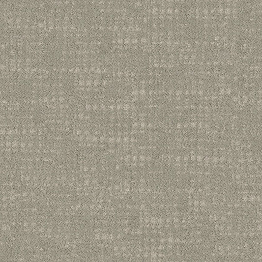 SHAW FLOORS - CARPET - TAILORED CRAFT - STONEWASH