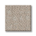 SHAW FLOORS - CARPET - TAILORED CRAFT - ABALONE