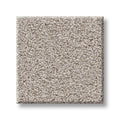 SHAW FLOORS - CARPET - WONDERLAN III - 12' - SILENCE