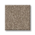 Shaw Floors - Carpet - COMFORTING I - Boardwalk