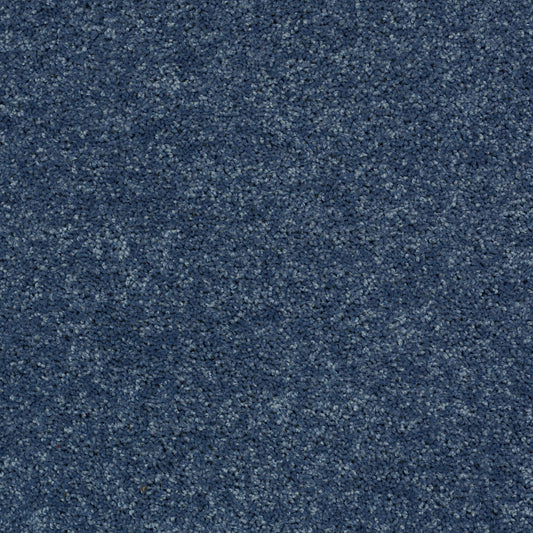 Shaw Floors - Carpet - Full Court 12' - 12' - Castaway