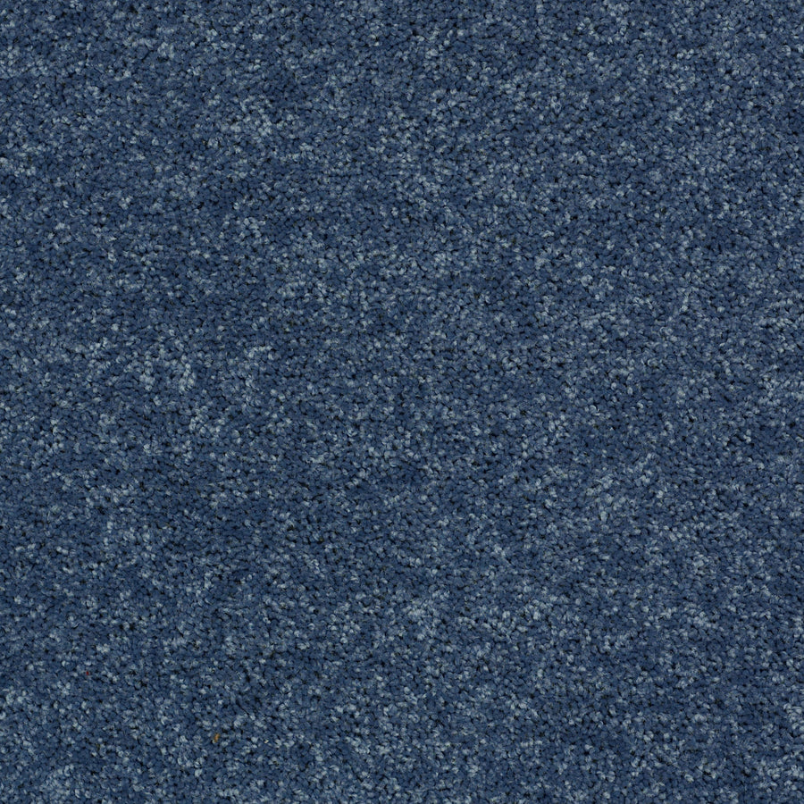 Shaw Floors - Carpet - Full Court 12' - 12' - Castaway
