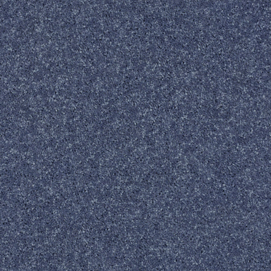Shaw Floors - Carpet - Full Court 12' - 12' - Steel
