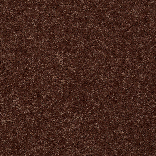 Shaw Floors - Carpet - Full Court 12' - 12' - Flower Pot