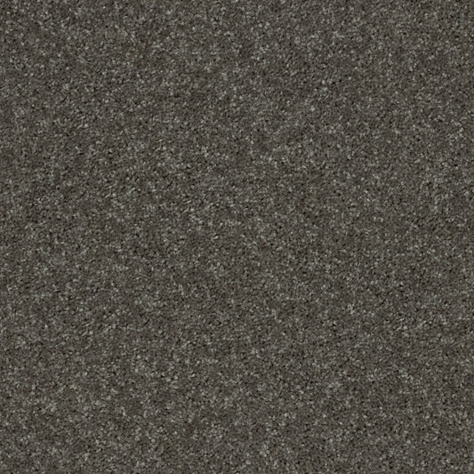 Shaw Floors - Carpet - Full Court 12' - 12' - Barn Beam