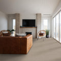 SHAW FLOORS - CARPET - SIMPLY THE BEST VALUES COLLECTION - TRUSPLENDOR - 12' - MIST