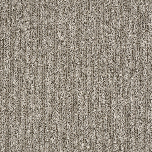 Shaw Floors - Carpet - Simply The Best Values Collection - Easy Fit - 12' - Mesa