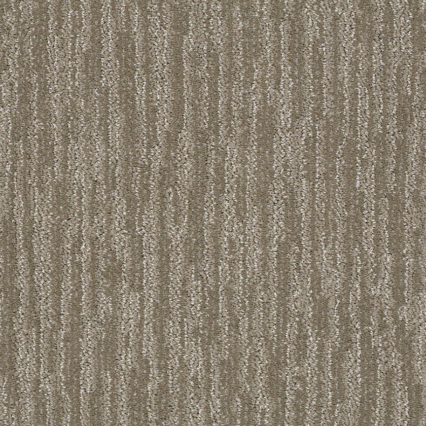 Shaw Floors - Carpet - Simply The Best Values Collection - Easy Fit - 12' - Papoose
