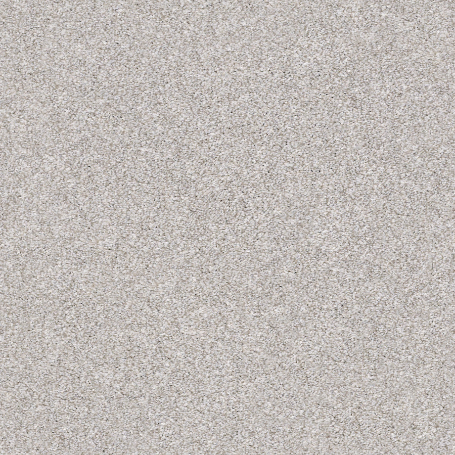 Shaw Floors - Carpet - Simply the Best Values Collection - Make It Mine I - 12' - Soft Fleece