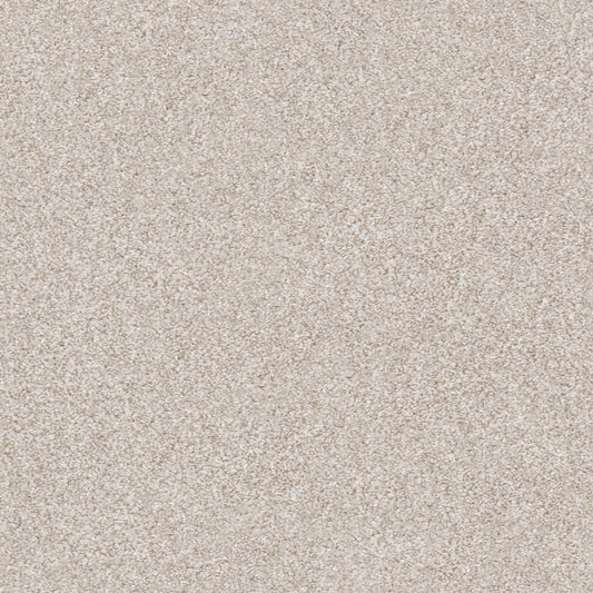Shaw Floors - Carpet - Simply the Best Values Collection - Make It Mine I - 12' - Desert Light
