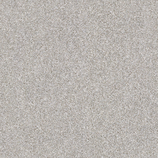 Shaw Floors - Carpet - Simply the Best Values Collection - Make It Mine I - 12' - Clay