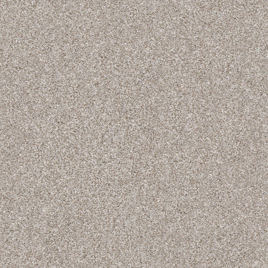Shaw Floors - Carpet - Simply the Best Values Collection - Make It Mine I - 12' - Winter Dunes