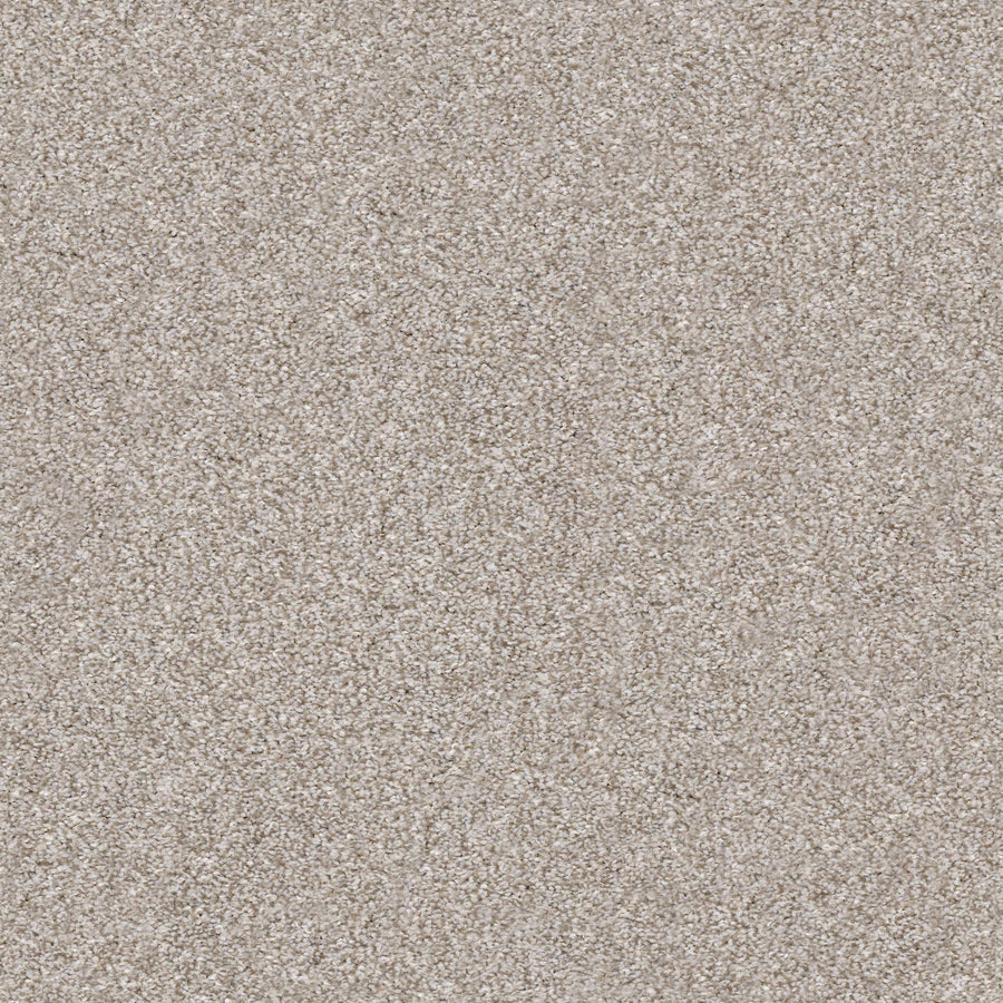 Shaw Floors - Carpet - Simply the Best Values Collection - Make It Mine I - 12' - Winter Dunes