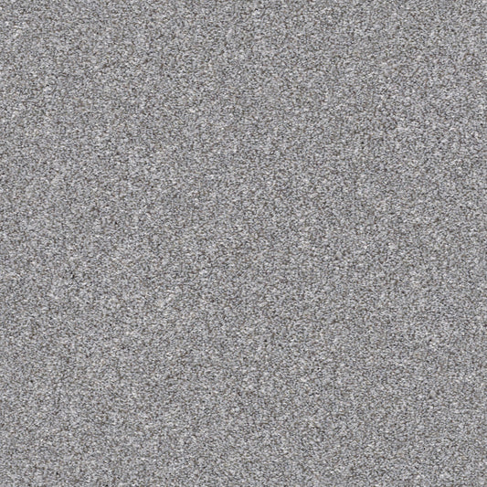 Shaw Floors - Carpet - Simply the Best Values Collection - Make It Mine I - 12' - Arctic Shadow