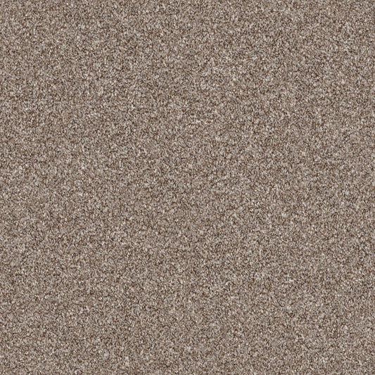 Shaw Floors - Carpet - Simply the Best Values Collection - Make It Mine I - 12' - Fox Hollow