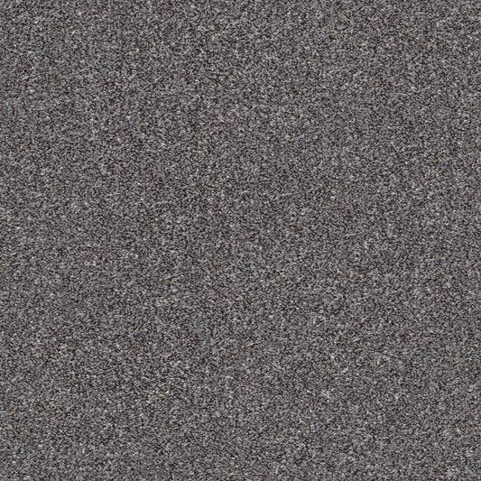 Shaw Floors - Carpet - Simply the Best Values Collection - Make It Mine I - 12' - Mocha