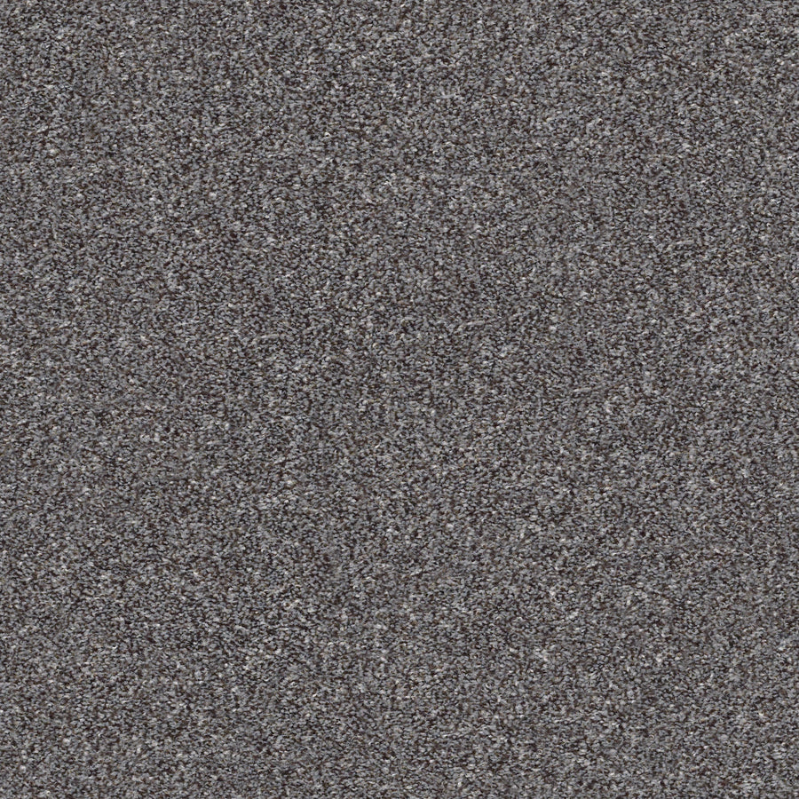 Shaw Floors - Carpet - Simply the Best Values Collection - Make It Mine I - 12' - Mocha