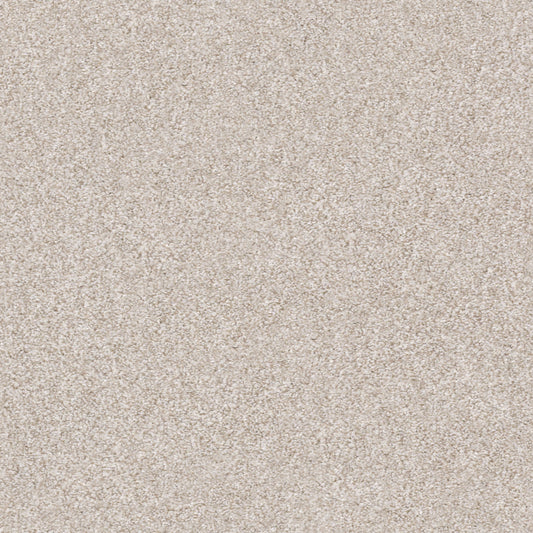 Shaw Floors - Carpet - Simply the Best Values Collection - Make It Mine II - 12' - Desert Light