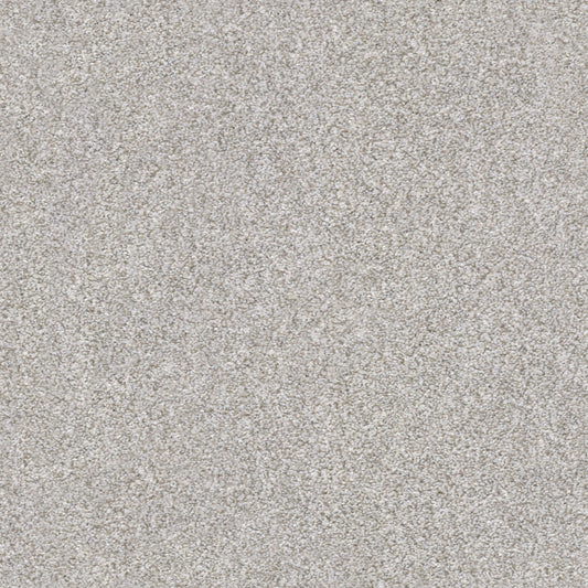 Shaw Floors - Carpet - Simply the Best Values Collection - Make It Mine II - 12' - Clay