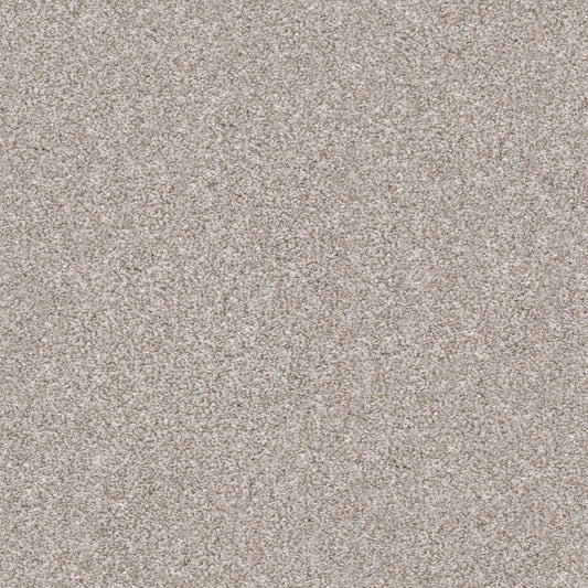 Shaw Floors - Carpet - Simply the Best Values Collection - Make It Mine II - 12' - Winter Dunes