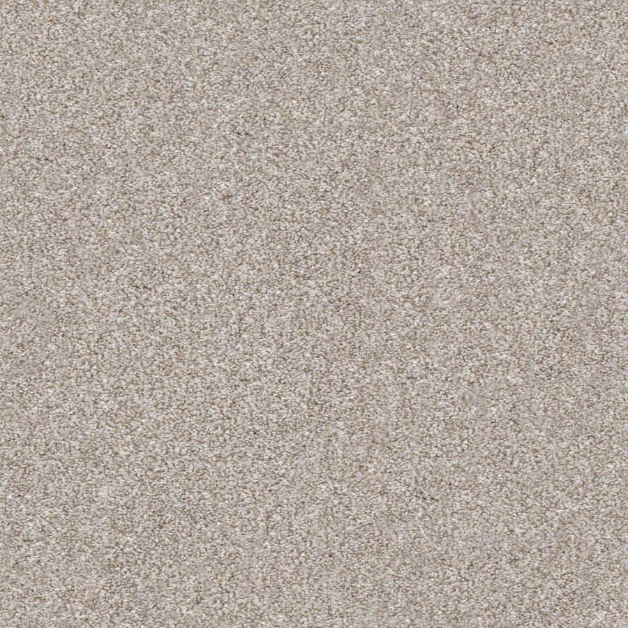 Shaw Floors - Carpet - Simply the Best Values Collection - Make It Mine II - 12' - Winter Dunes