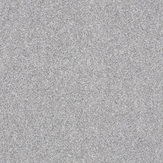 Shaw Floors - Carpet - Simply the Best Values Collection - Make It Mine II - 12' - Sterling