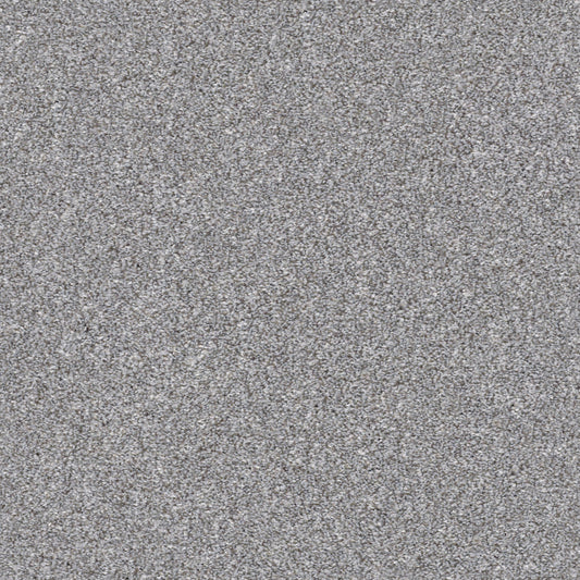 Shaw Floors - Carpet - Simply the Best Values Collection - Make It Mine II - 12' - Arctic Shadow
