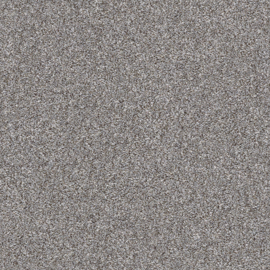 Shaw Floors - Carpet - Simply the Best Values Collection - Make It Mine II - 12' - Cedar Ridge