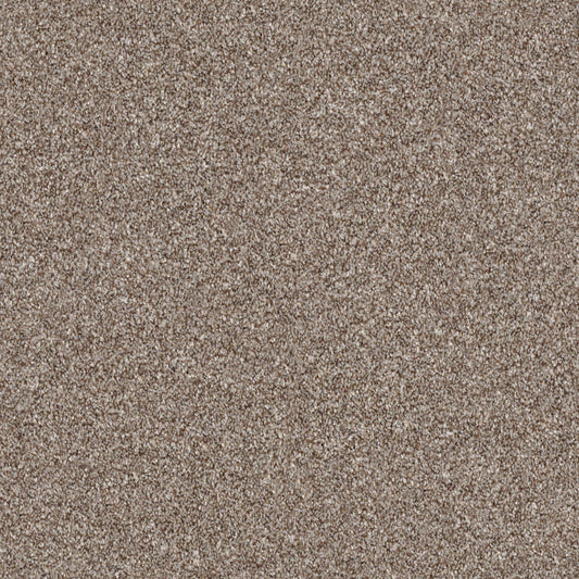Shaw Floors - Carpet - Simply the Best Values Collection - Make It Mine II - 12' - Fox Hollow